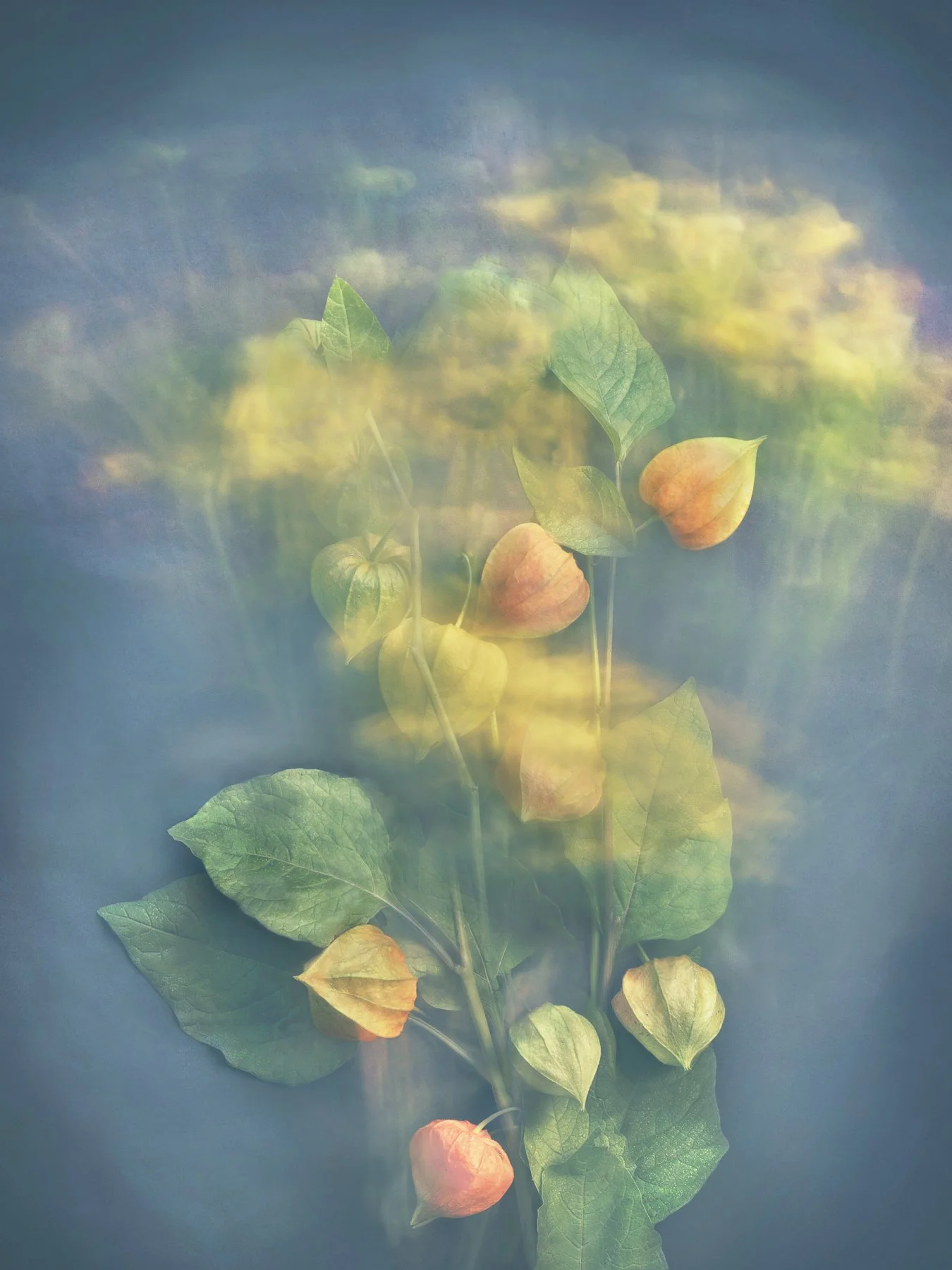 Joyce Tenneson, Lanterns with Yellow — The Maine Museum of